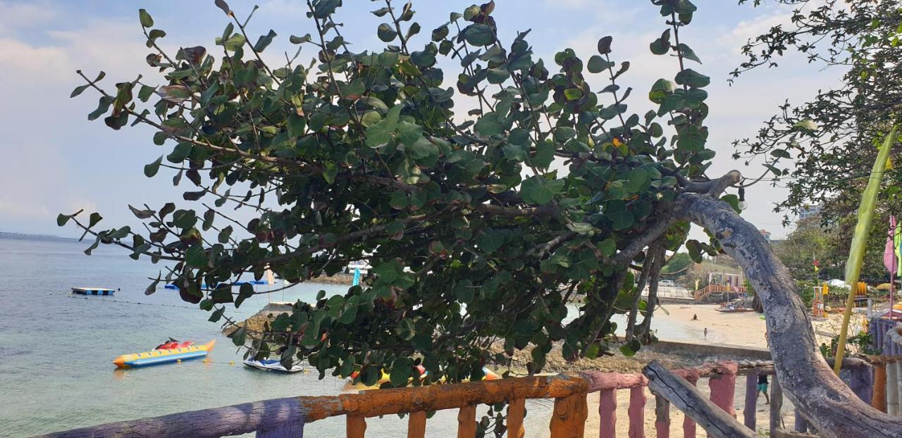 Mactan Newtown Condo With Garden And Ocean View 8Newtown Blvd Lapu-Lapu City Eksteriør billede
